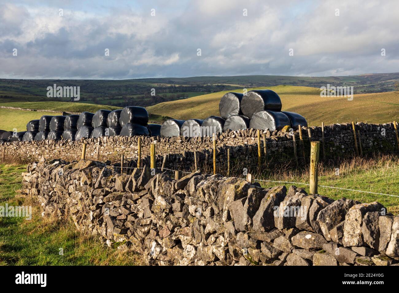 In Kunststoff verpackte Silageballen, die auf einem Feld in Wetton, Peak District National Park, Staffordshire, gelagert werden Stockfoto