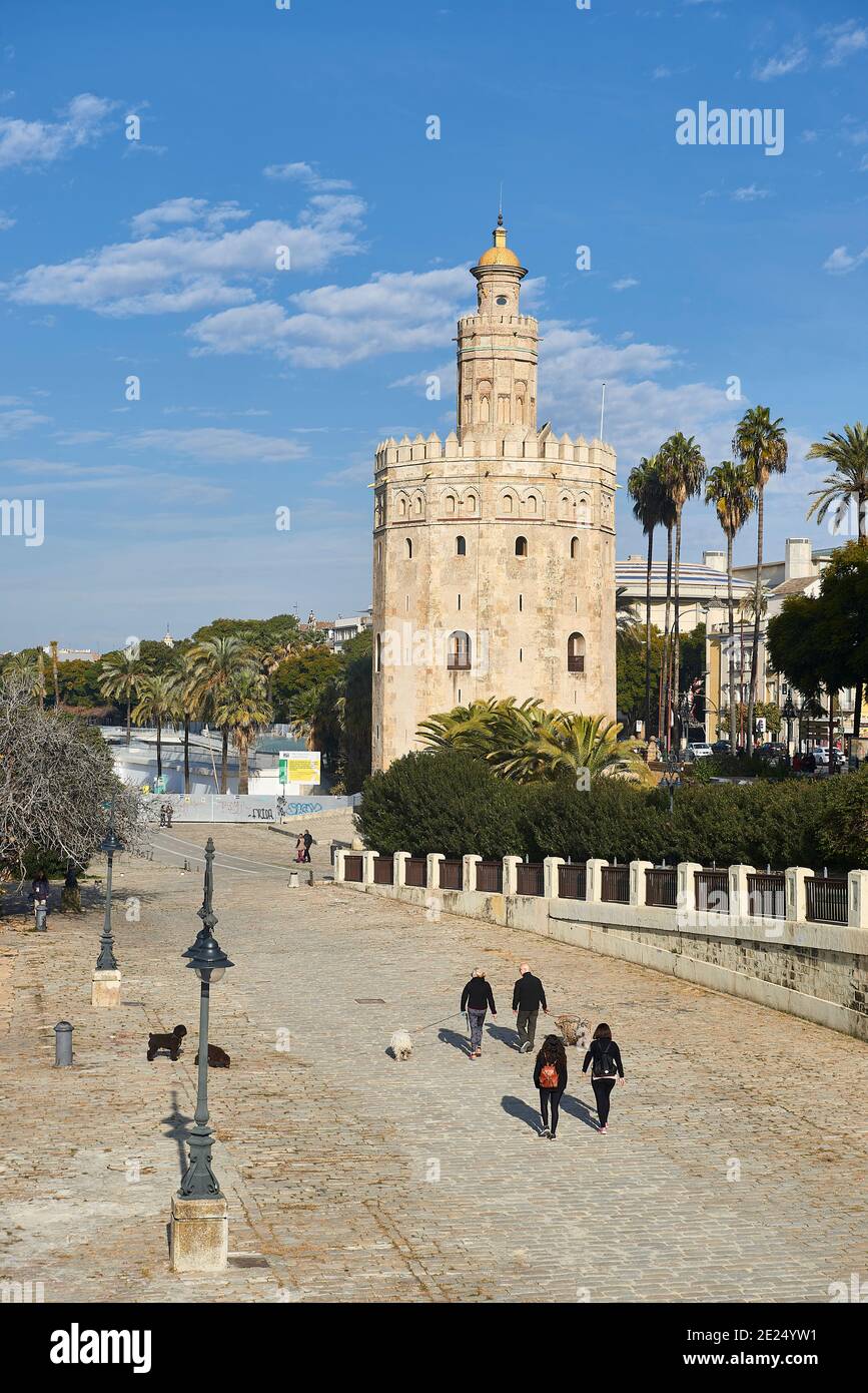 Torre del Oro (Goldener Turm), Sevilla, Andalusien, Spanien, Europa. Stockfoto