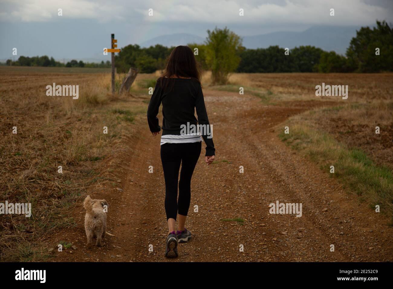 Frau, die ihren Hund auf dem Land läuft Stockfoto