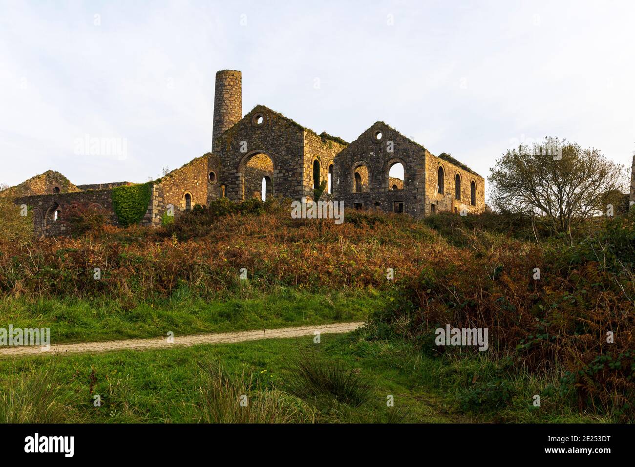 Wheal Francis. Der Bergbau begann in der Region in den frühen 1720er Jahren. Der Abbau von Kupfer wurde erstmals in den 1820er Jahren an diesem Standort dokumentiert. Nach Lady Frances Stockfoto