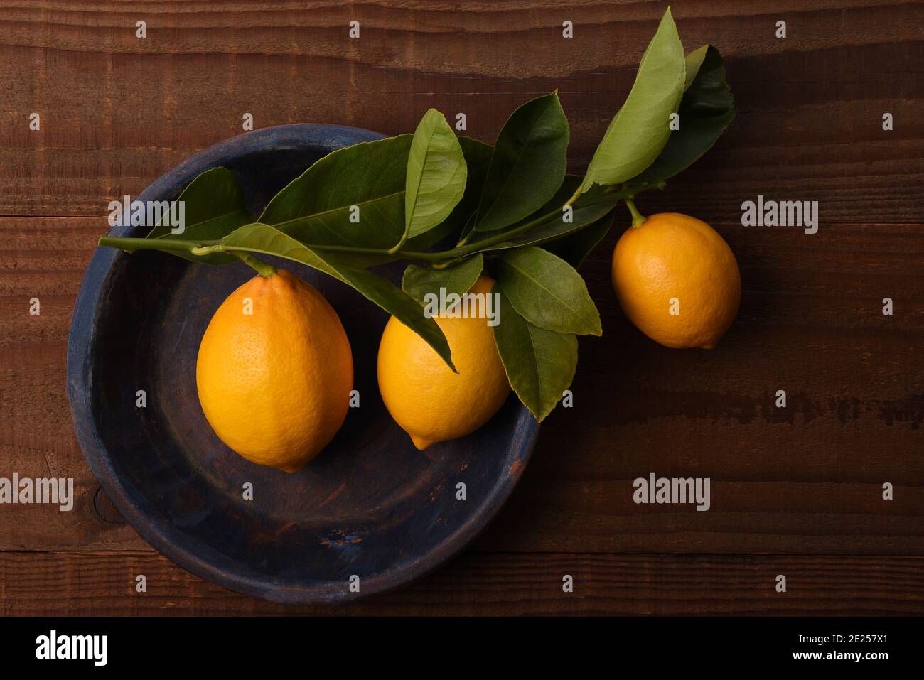 Flach legen Stillleben einer Gruppe von frisch gepflückten Zitronen an Blättern und Stiel auf einem runden blauen Teller befestigt. Stockfoto