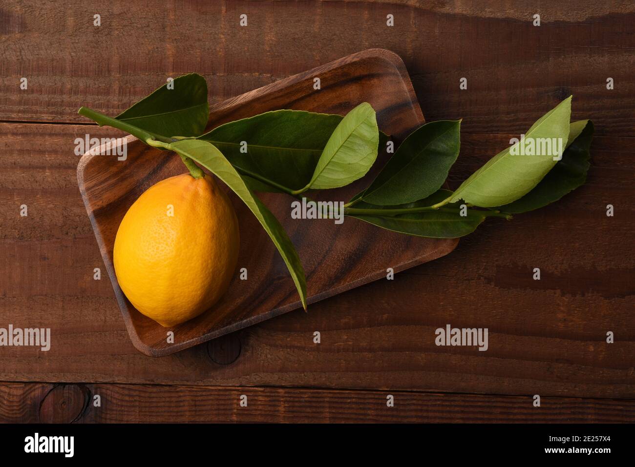 Eine frisch gepflückte Zitrone mit Stiel und Blättern auf einem Holztablett auf einem rustikalen dunklen Holztisch angebracht. Stockfoto