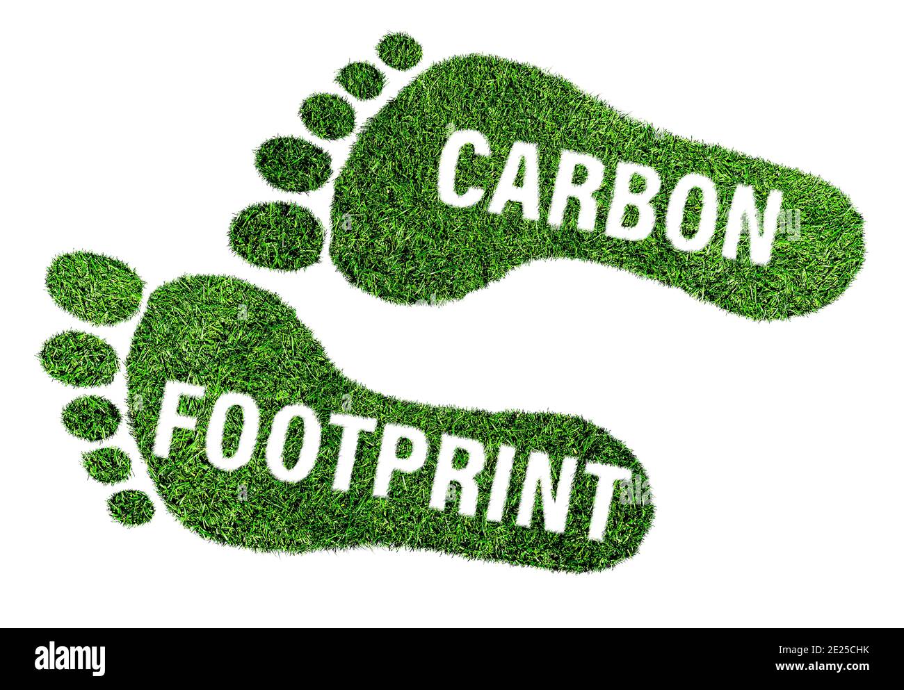 CO2-Fußabdruck-Konzept, Barfuß-Fußabdruck aus üppigem grünen Gras mit Text isoliert auf weißem Hintergrund Stockfoto