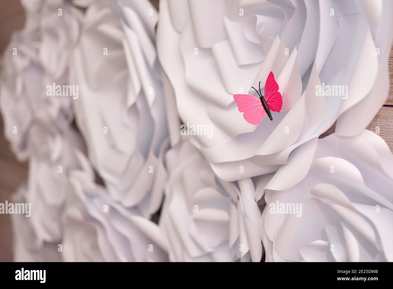 Weiße große Papierblumen an der Wand. Handarbeit kreative Abstraktion. Stockfoto