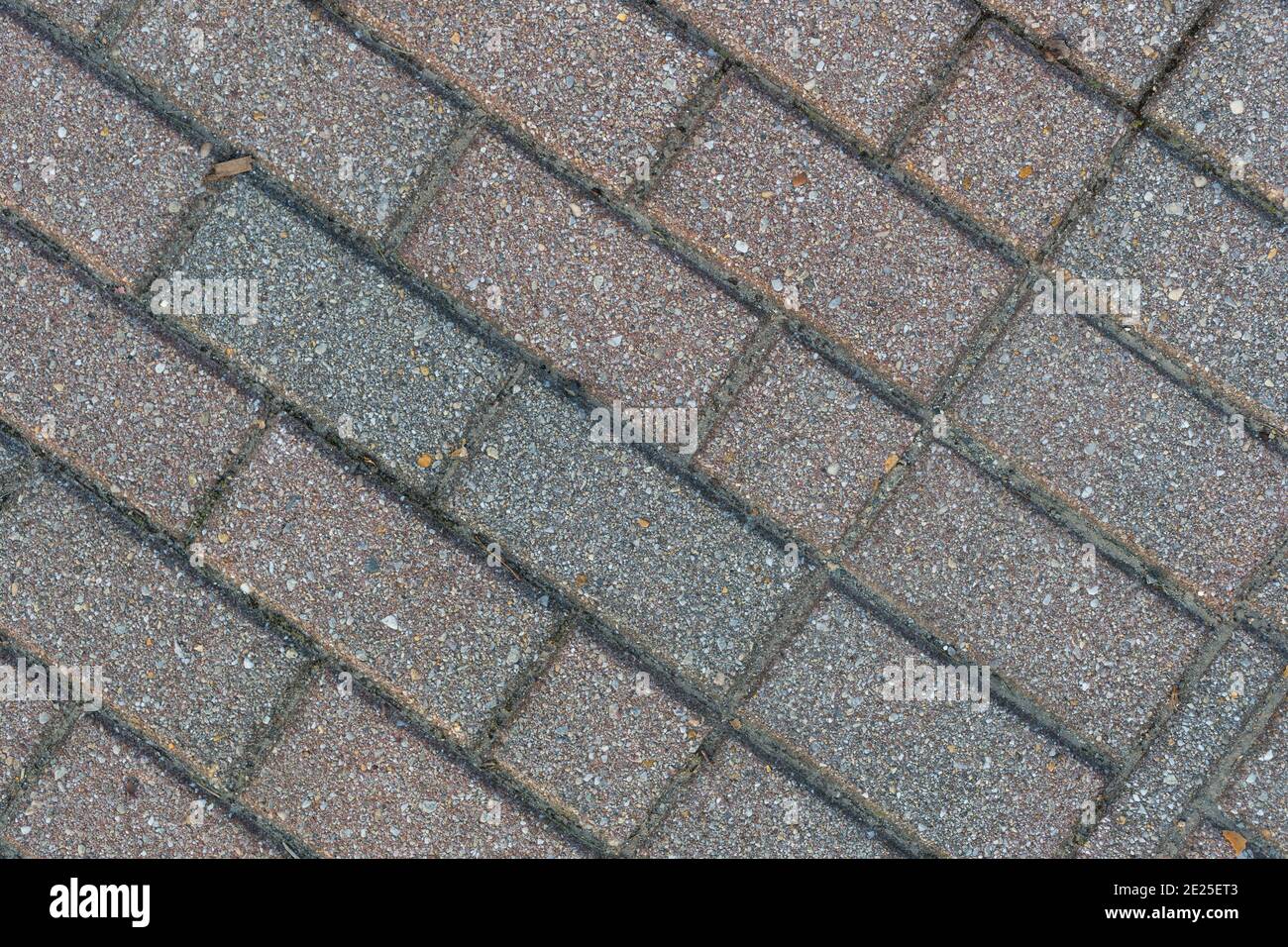 Draufsicht auf mehrere Reihen von Pflastersteinen im frühen Morgenlicht. Stockfoto