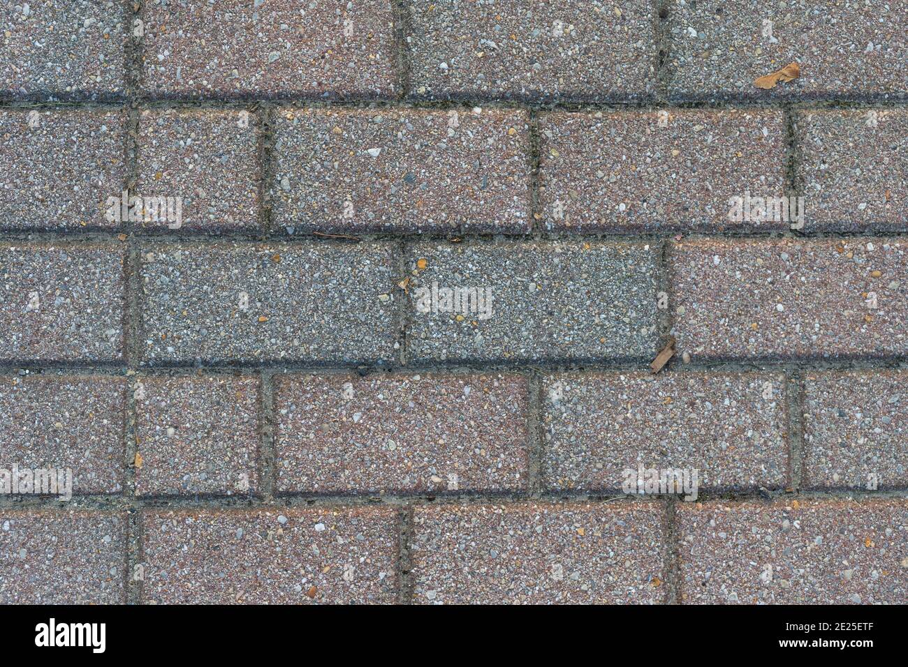 Draufsicht auf mehrere Reihen von Pflastersteinen im frühen Morgenlicht. Stockfoto