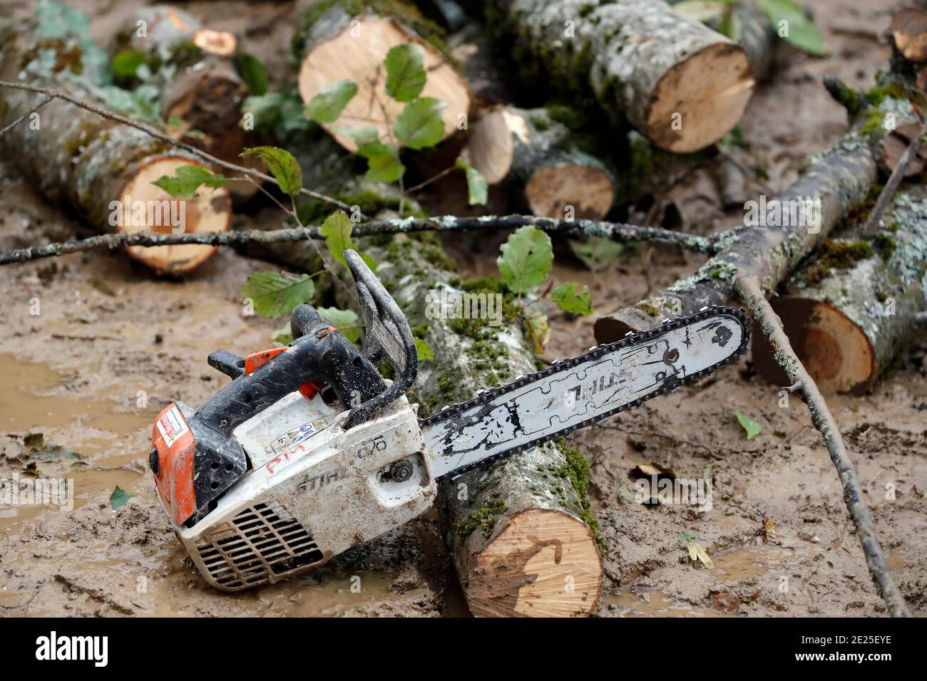 Kettensäge. Nahaufnahme der Sägekette des Holzfällers. Holzfäller. Frankreich. Stockfoto