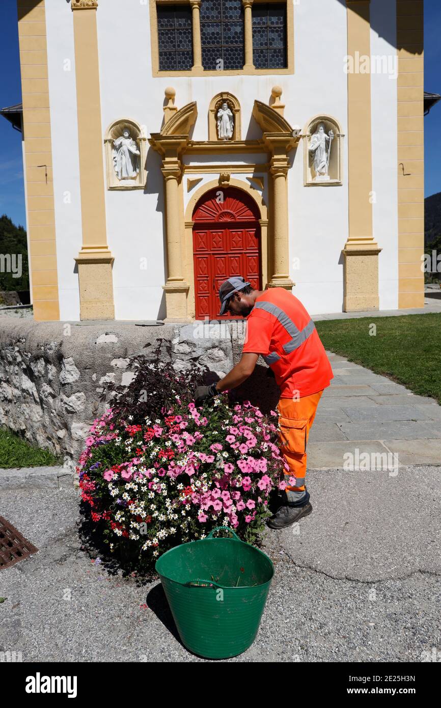 Bunte Blumen im Dorf Saint Nicolas de Veroce in den französischen Alpen. Gärtner bei der Arbeit. Frankreich. Stockfoto