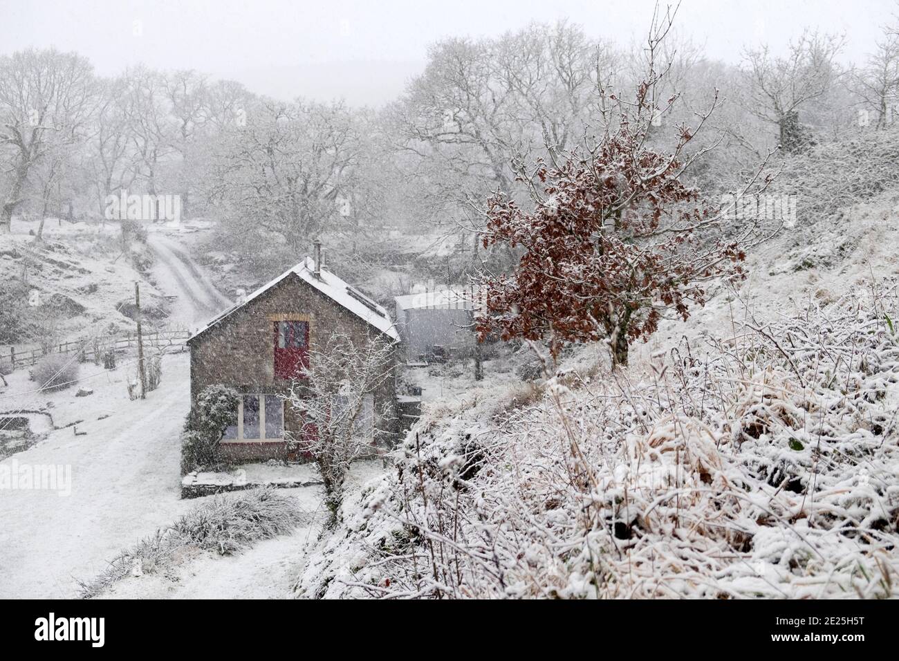 Umgebautes Scheunenhaus Landhaus in walisischer Landschaft nach dem Winter Schnee in der ländlichen Landschaft von Carmarthenshire Dezember 2020 Wales Großbritannien KATHY DEWITT Stockfoto