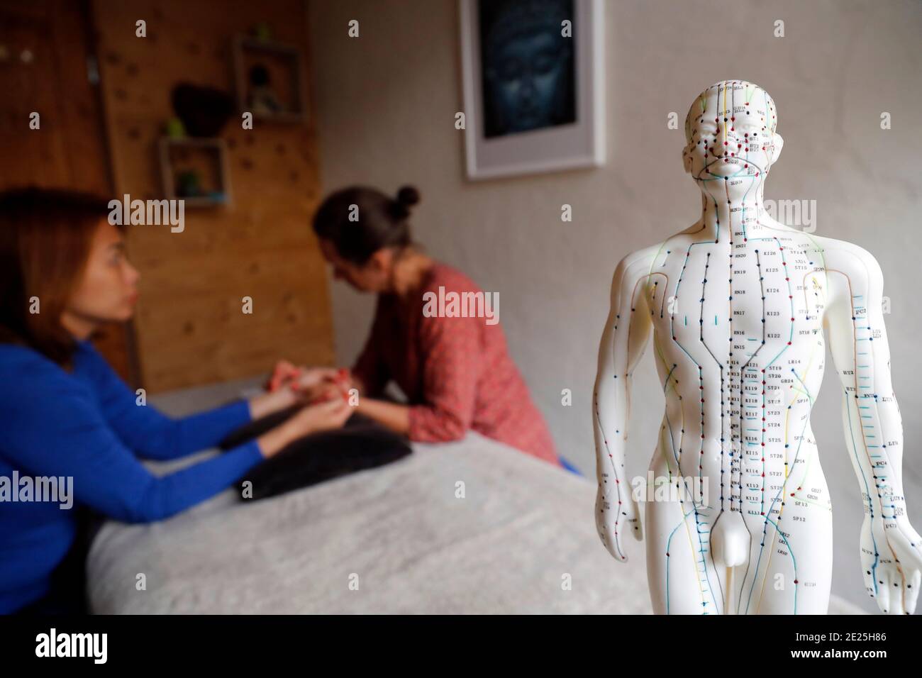 Traditionelle chinesische Medecine. Praktiker überprüft Puls der jungen Frau, um Krankheit zu definieren. Ein männliches Modell mit markierten Akupunkturpunkten. Frankreich. Stockfoto