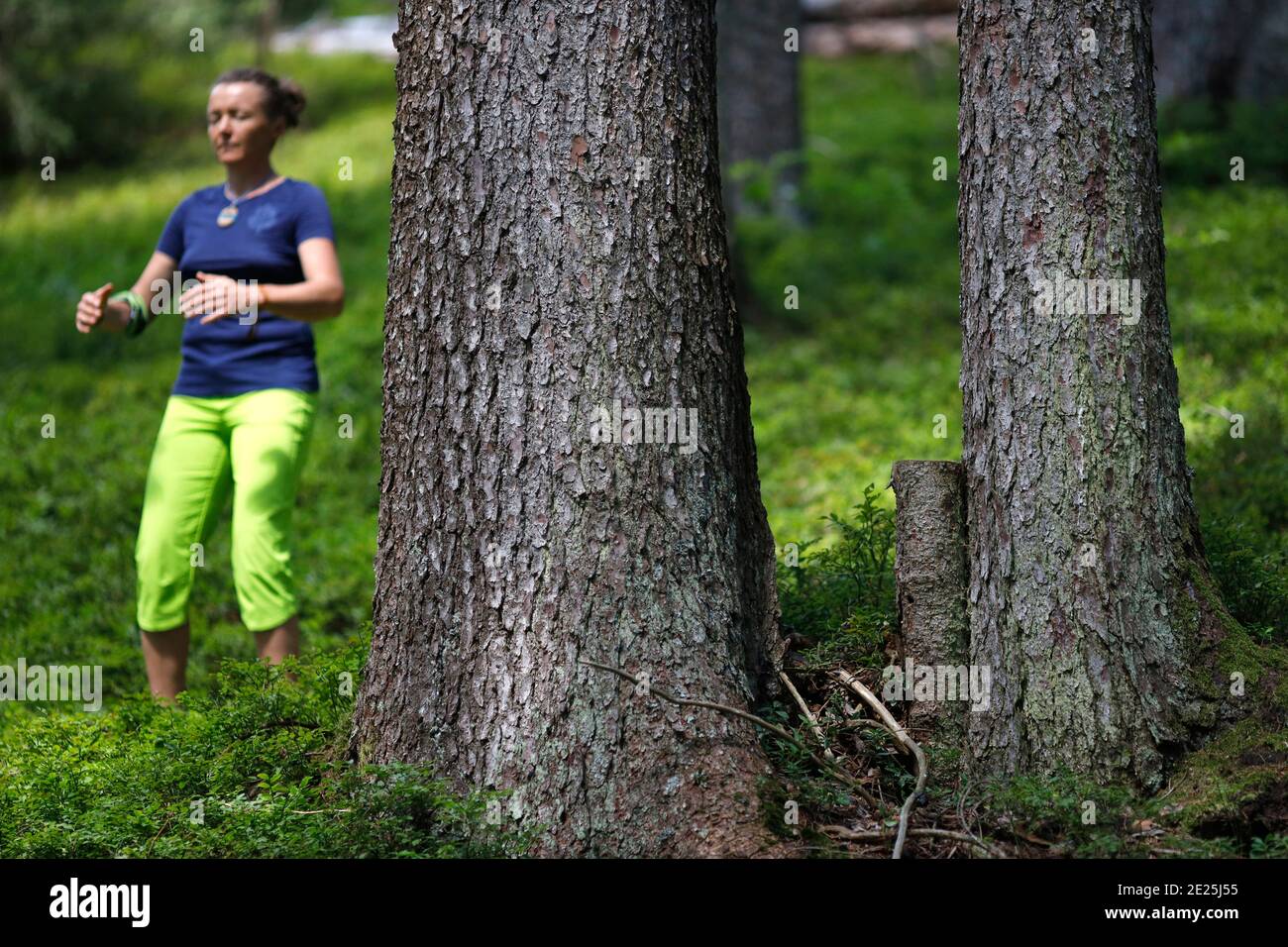 Naturtherapie. Qi Gong und Waldbaden, auch bekannt als Shinrin-Yoku. Frankreich. Stockfoto