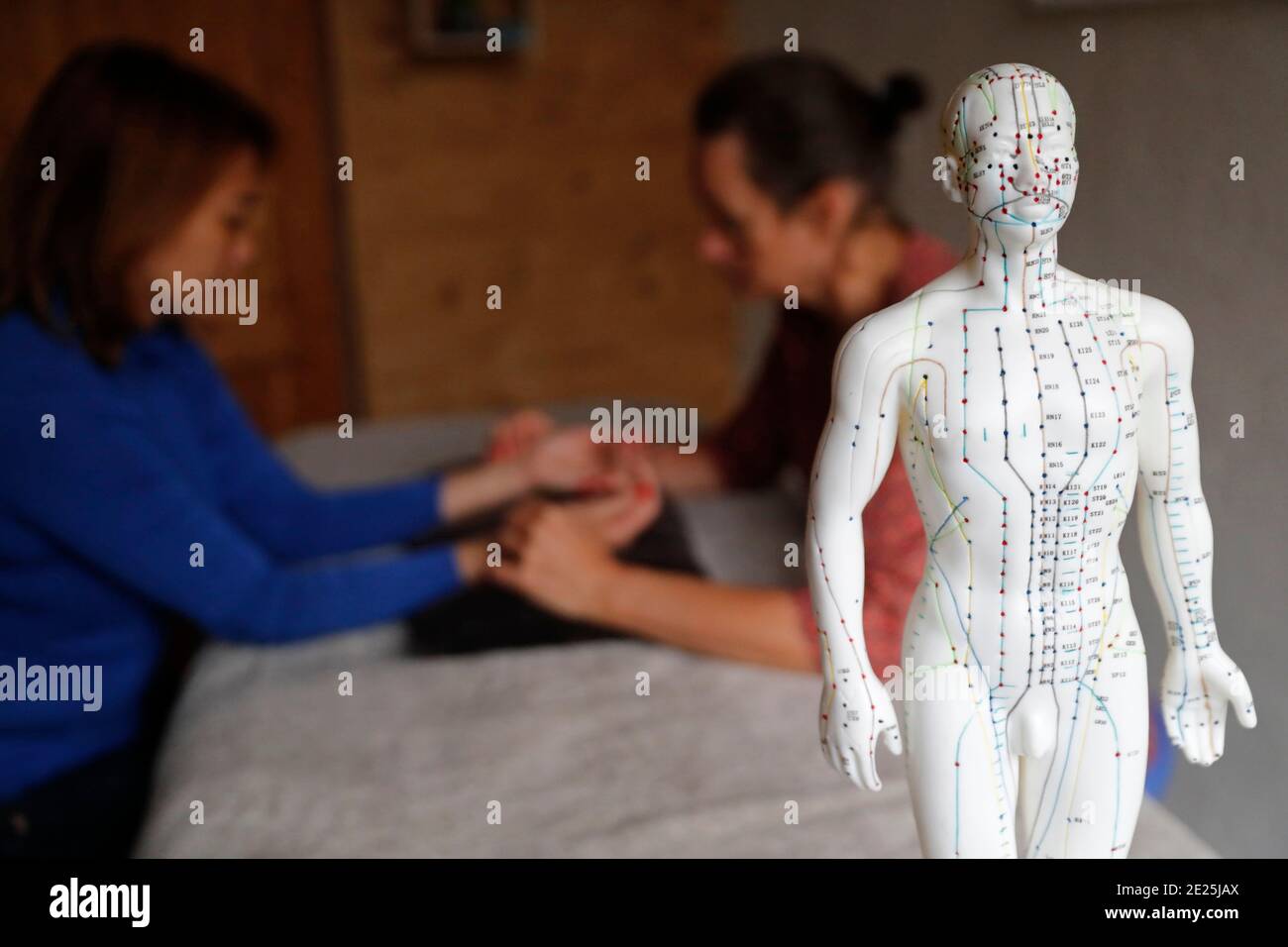 Traditionelle chinesische Medecine. Praktiker überprüft Puls der jungen Frau, um Krankheit zu definieren. Ein männliches Modell mit markierten Akupunkturpunkten. Frankreich. Stockfoto