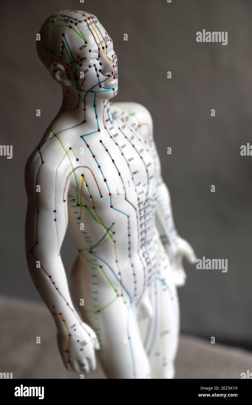 Traditionelle chinesische Medecine. Ein männliches Modell mit markierten Akupunkturpunkten. Frankreich. Stockfoto