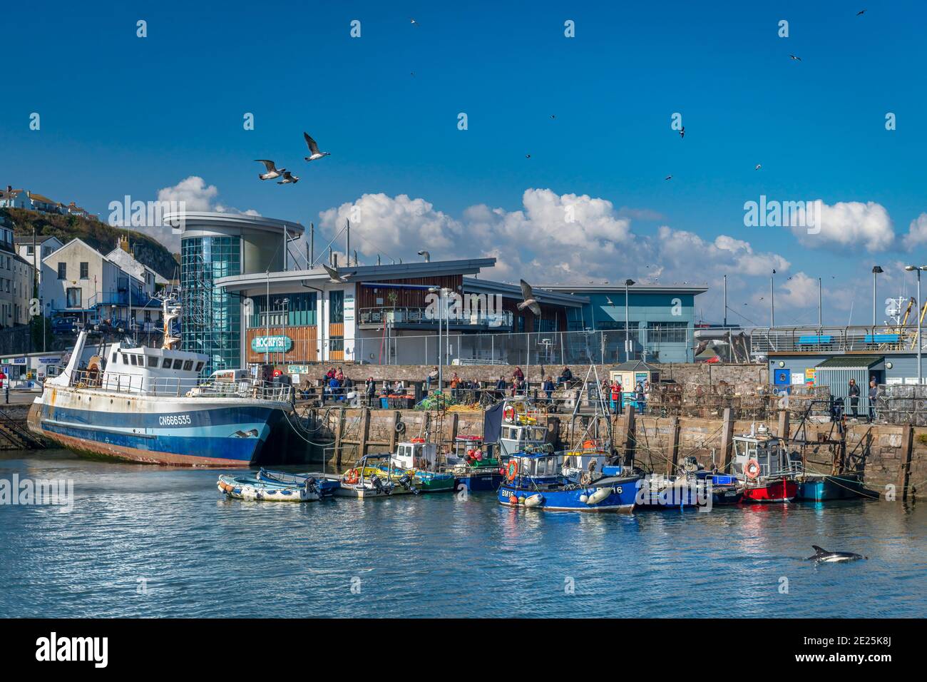 Ein großer Trawler sitzt vor der Hafenmauer vor dem berühmten Rockfish Restaurant in Brixham an der Südküste Englands. Stockfoto
