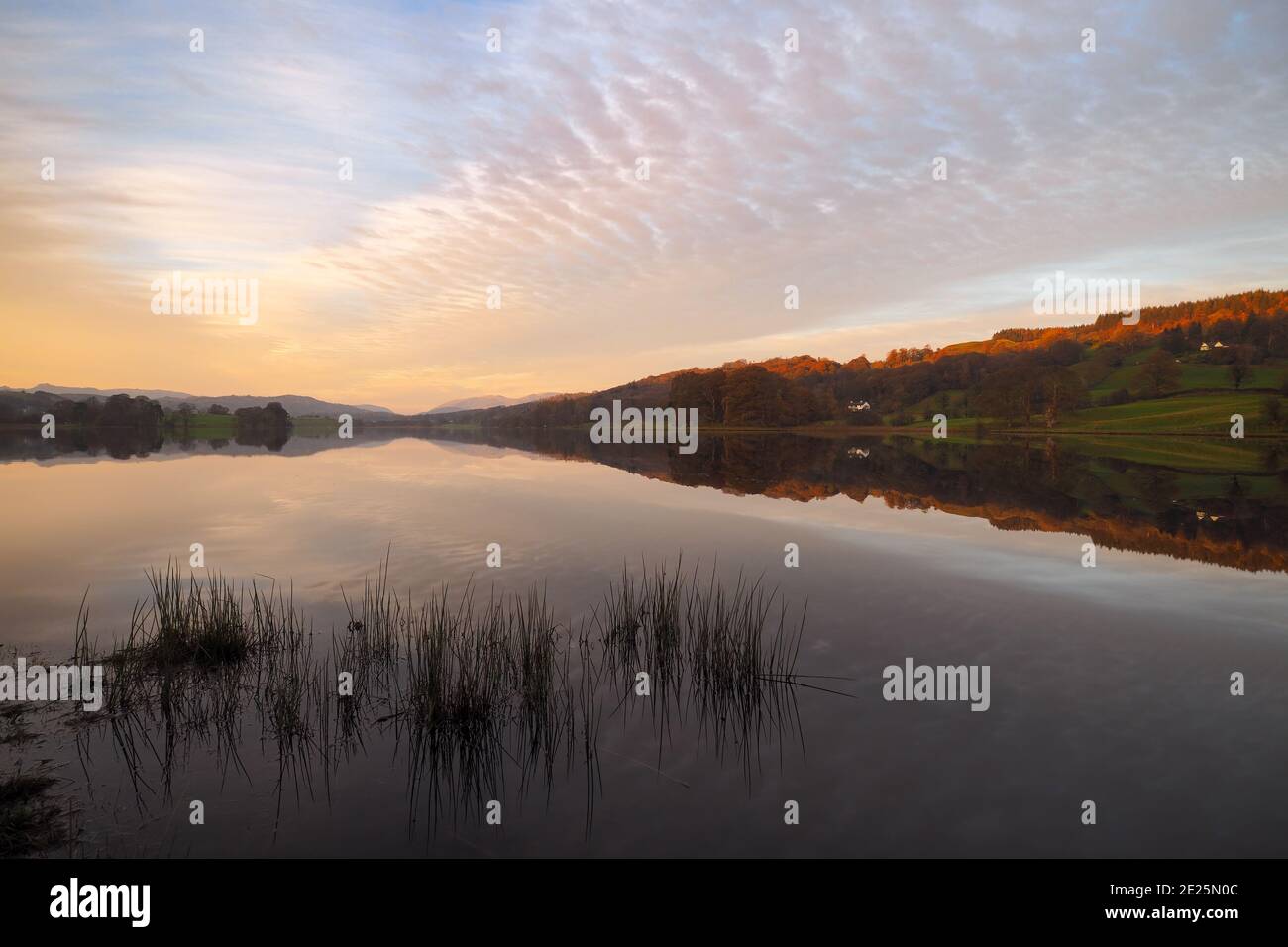 Abenddämmerung am Esthwaite Wasser und Spiegelungen von Wolken im Makrelenhimmel, Lake District Stockfoto