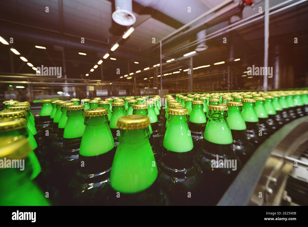 Grüne Glasbierflaschen auf einem Förderband im Hintergrund einer Brauerei. Stockfoto