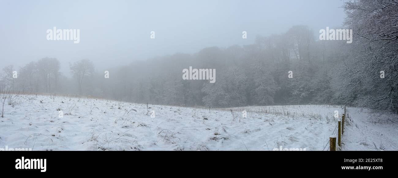 Winterlandschaft des Waldes im Nebel. Stockfoto