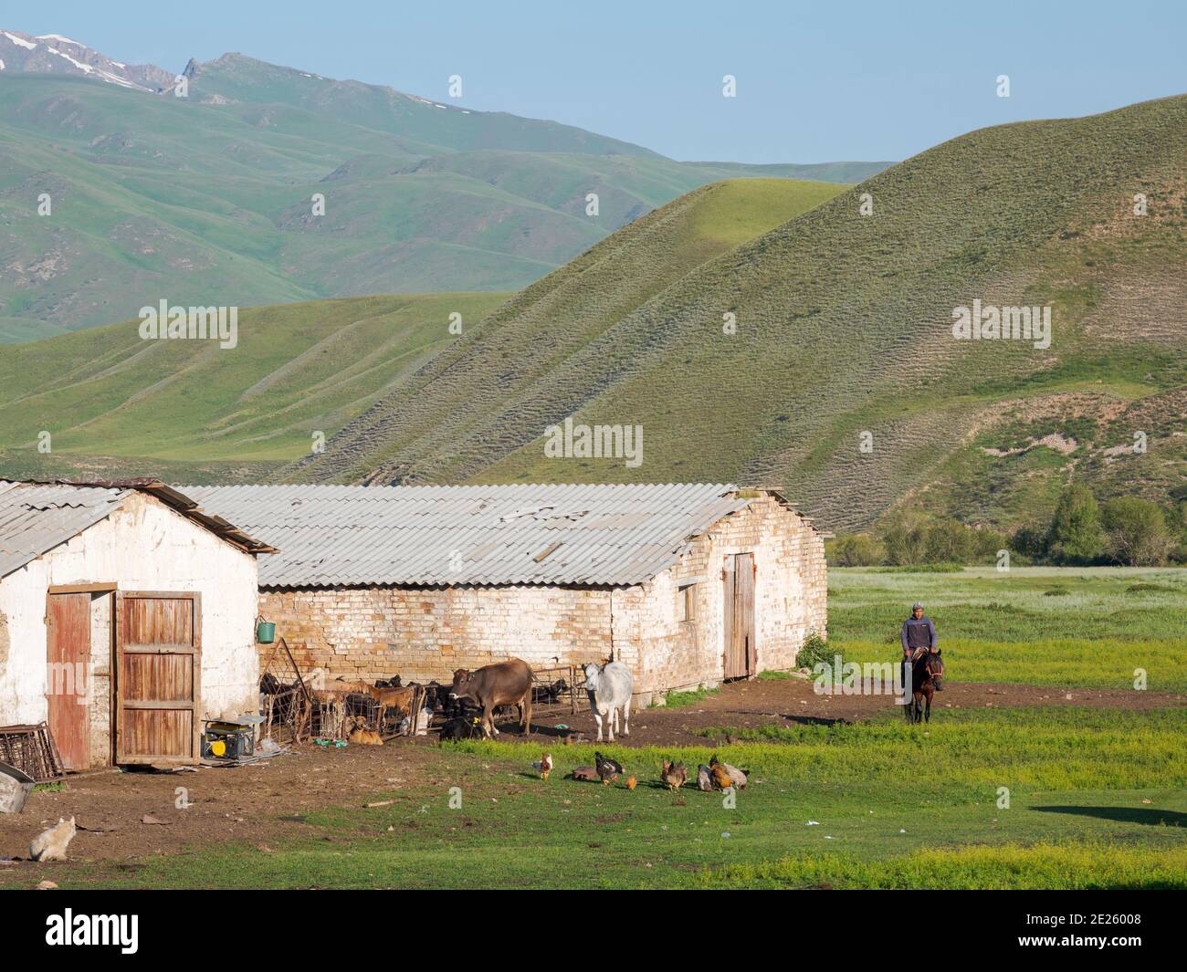 Ein typischer Bauernhof in der Suusamyr Ebene, einem Hochtal in den Tien Shan Bergen. Asien, Zentralasien, Kirgisistan Stockfoto