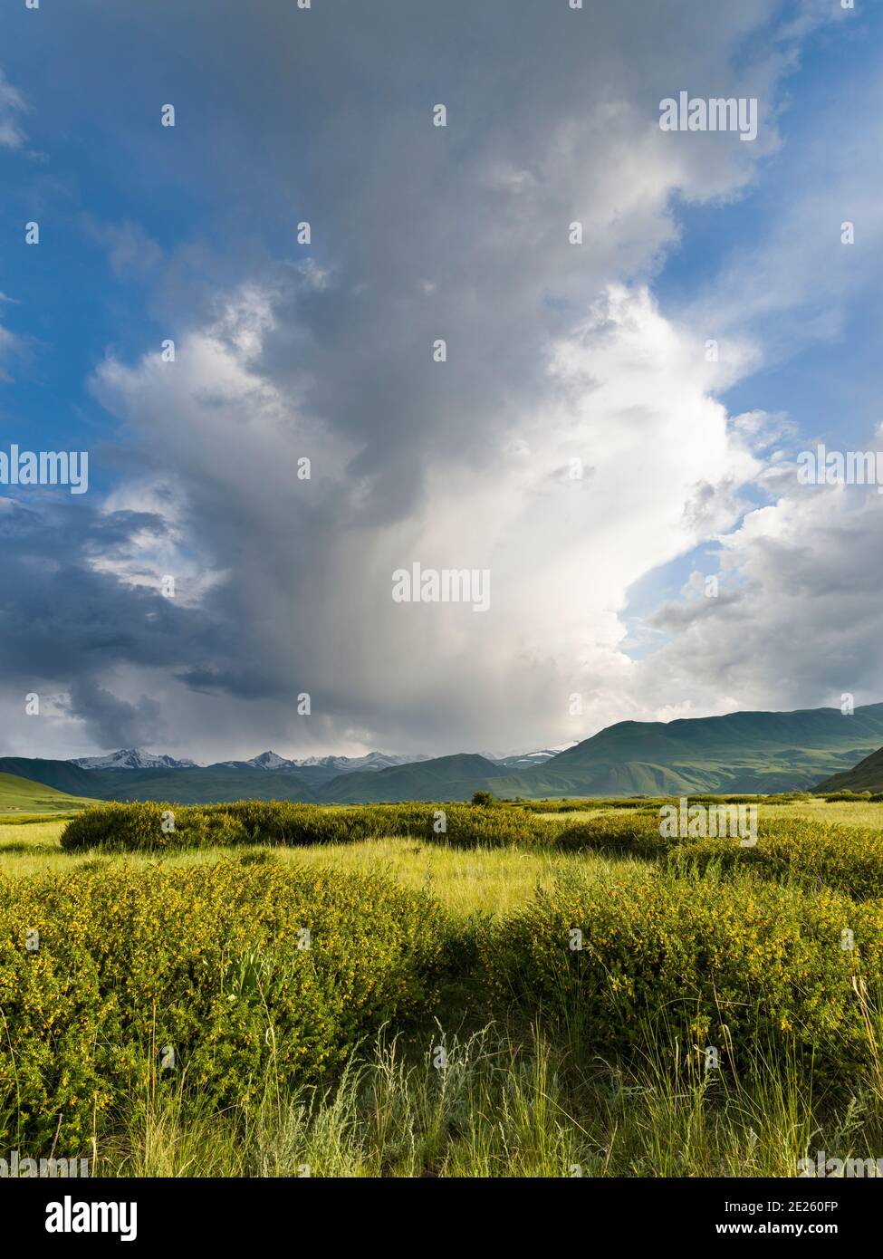 Ein Gewitter entwickelt sich. Die Suusamyr Ebene, ein Hochtal in den Tien Shan Bergen. Asien, Zentralasien, Kirgisistan Stockfoto