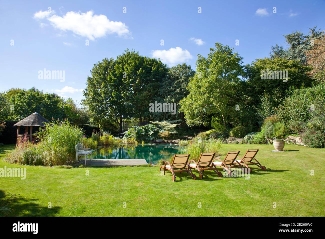 Garten mit Naturpool, Pavillon und Rasen und vier Holzliegen im Sommer Stockfoto