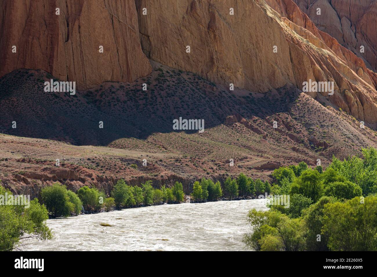 Tal des Flusses Suusamyr in den Tien Shan Bergen. Asien, Zentralasien, Kirgisistan Stockfoto