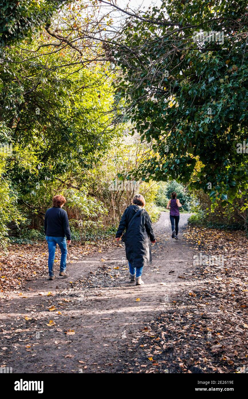 Spaziergänger und Jogger auf Parkland Walk, einer stillgelegt Eisenbahnlinie, jetzt ein Naturlehrpfad, während der Coronavirus Pandemie Lockdown, Crouch End, London, Großbritannien Stockfoto