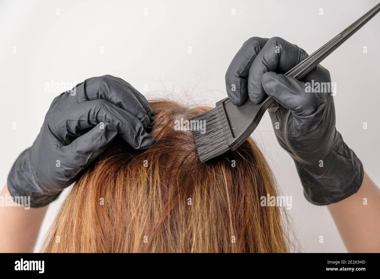 Frau färben Haarwurzeln mit einem Pinsel. Färben von grauen Haarwurzeln mit einer komplexen Haarfärbung oder Balayage zu Hause. Stockfoto