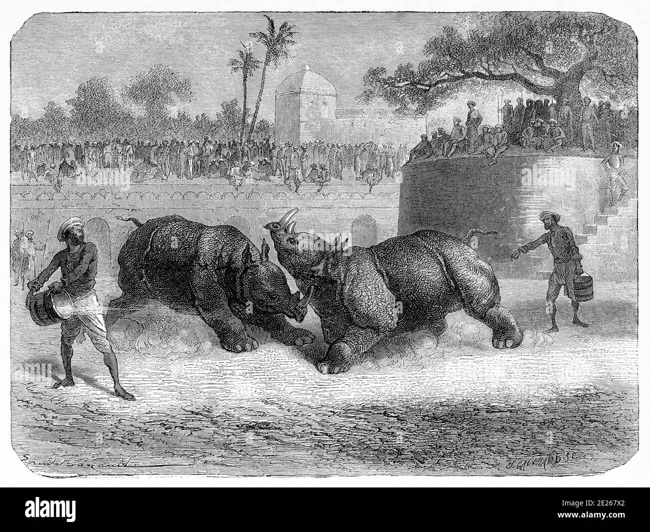 Nashornkämpfen in Vadodara (Baroda). Gujarat, Indien. Alte Gravurillustration aus El Mundo en la Mano 1878 Stockfoto