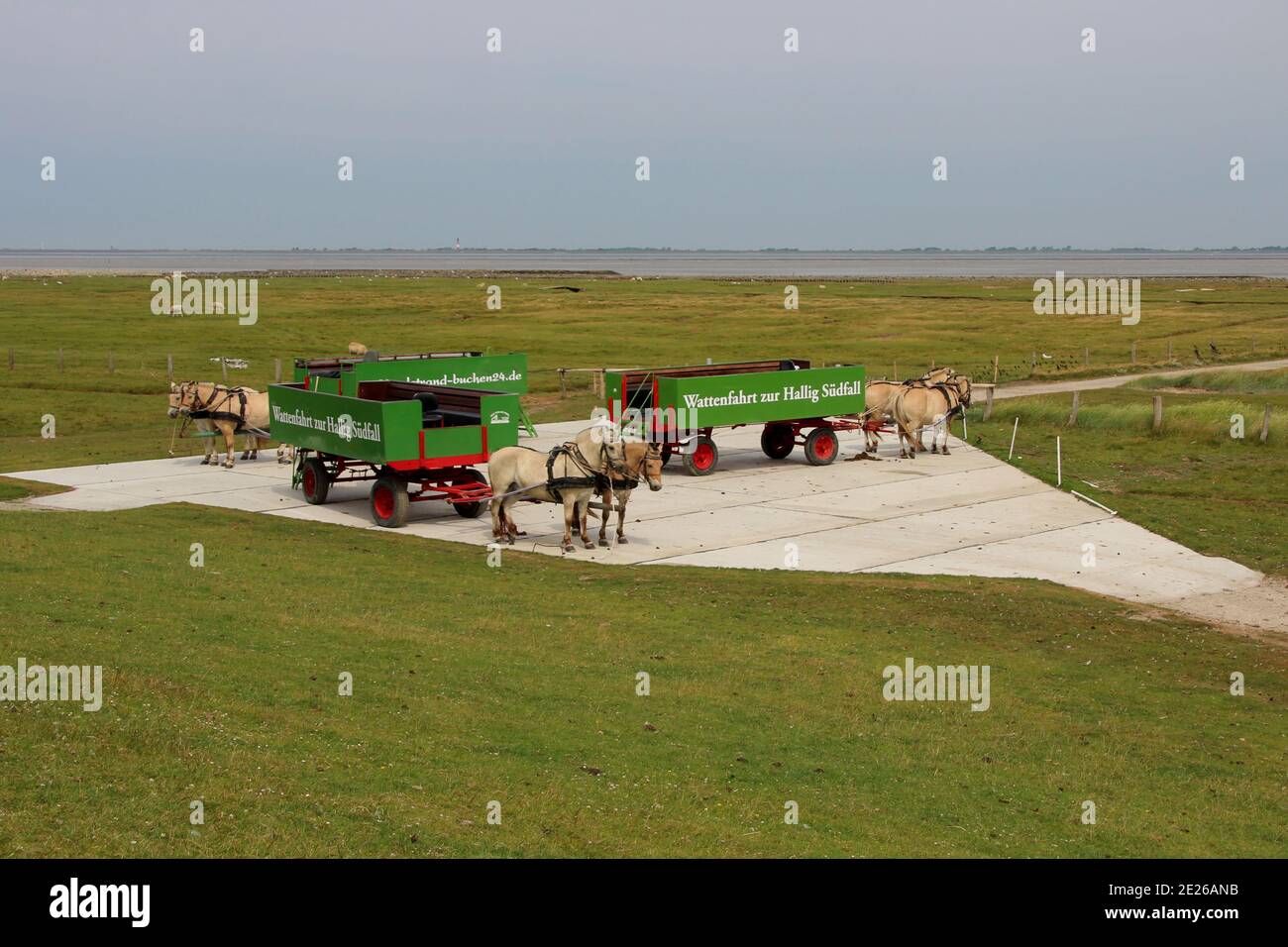 DEUTSCHLAND, HALLIG SÜDFALL, 03. JULI 2014: Pferdekutschen auf Hallig Südfall Stockfoto