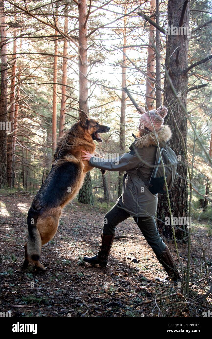 Junges Mädchen spielen und kämpfen mit einem großen Hund in Der Wald im Winter Stockfoto
