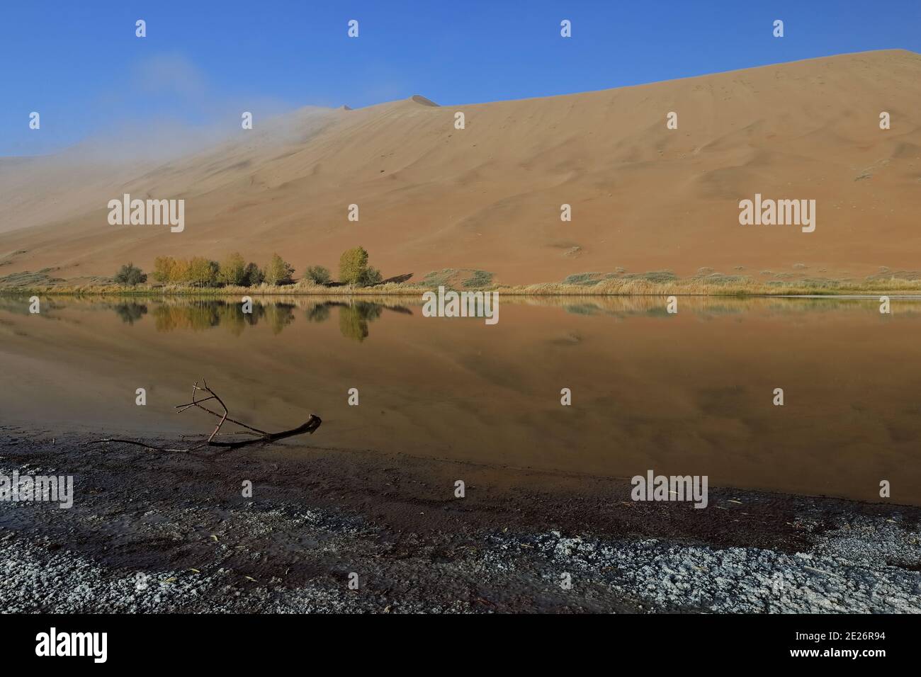 Sumu Jaran Lake westlichen Megadune-Spiegelung Wasser-Badain Jaran Wüste. Innere Mongolei-China-1205 Stockfoto