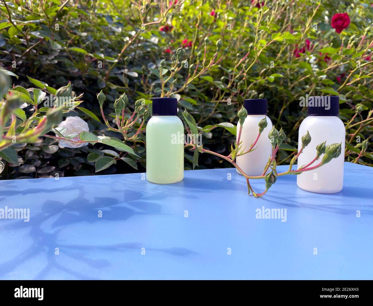 Mini-Flaschen mit Kosmetikprodukten auf blauem Hintergrund mit Blättern und Schatten. Hotelannehmlichkeiten SPA und REISEKONZEPT. Stockfoto