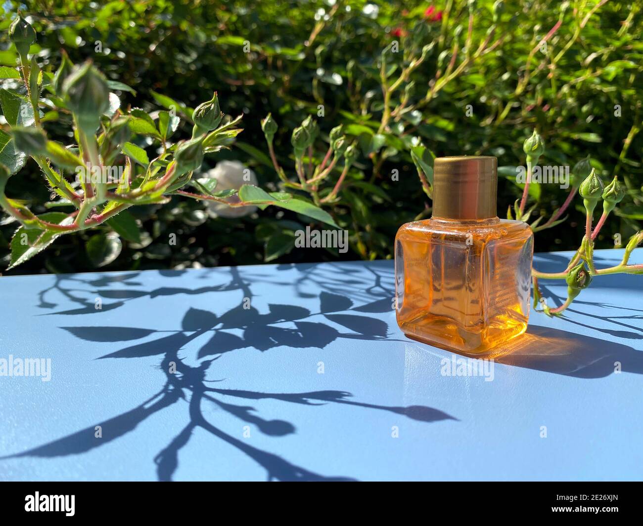 Mini-Flaschen mit Kosmetikprodukten auf blauem Hintergrund mit Blättern und Schatten. Hotelannehmlichkeiten SPA und REISEKONZEPT. Stockfoto
