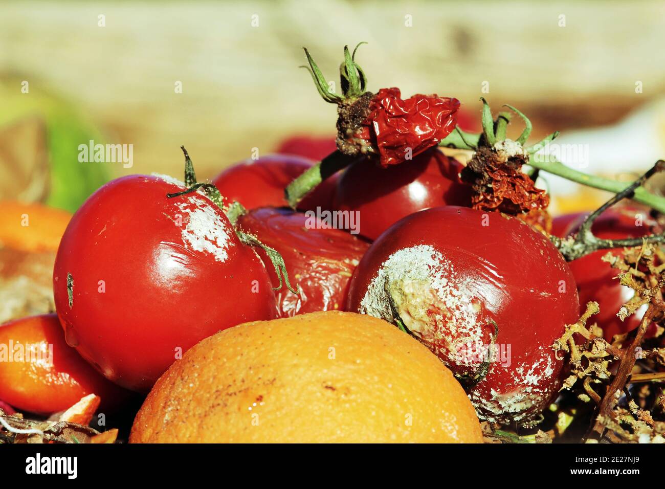 Verfaulte alte Tomaten und Orangen auf einem Müllhaufen Stockfoto