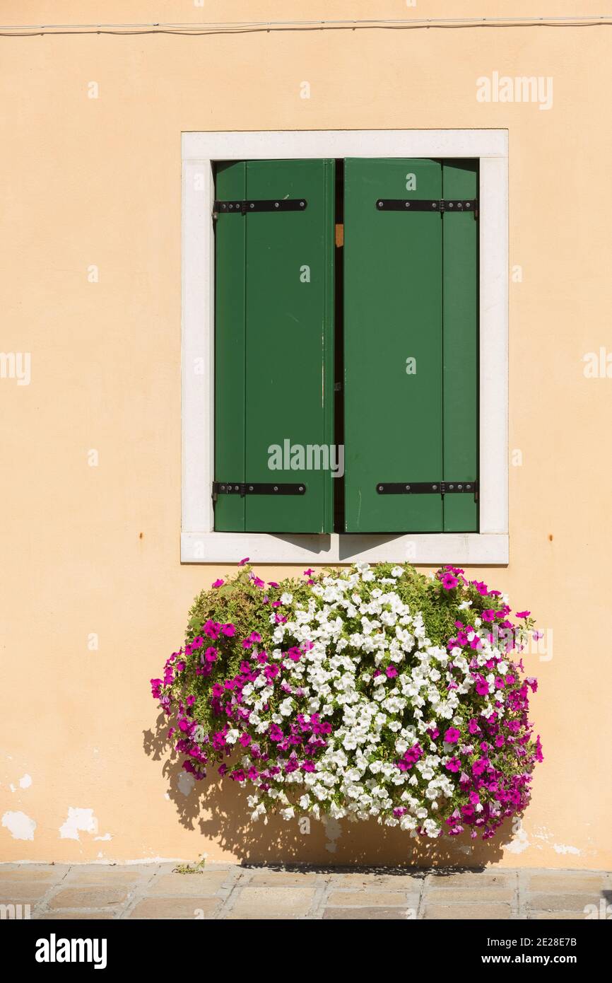 Bunte Blumen hängen unter dem Fenster mit traditionellem pfirsichfarbenen Stuck Haus Stockfoto