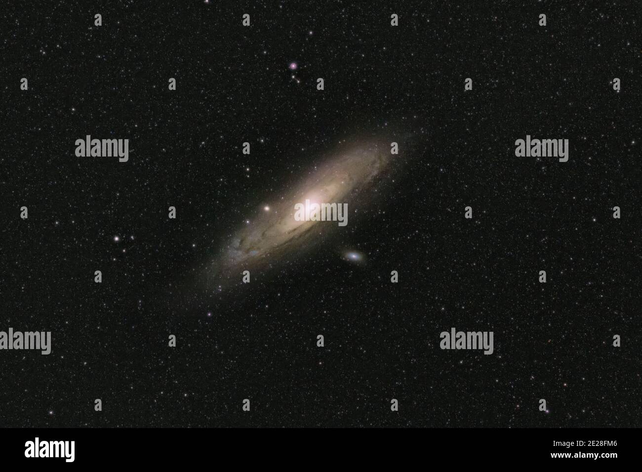 Andromeda Galaxie in natürlichen Farben Stockfoto