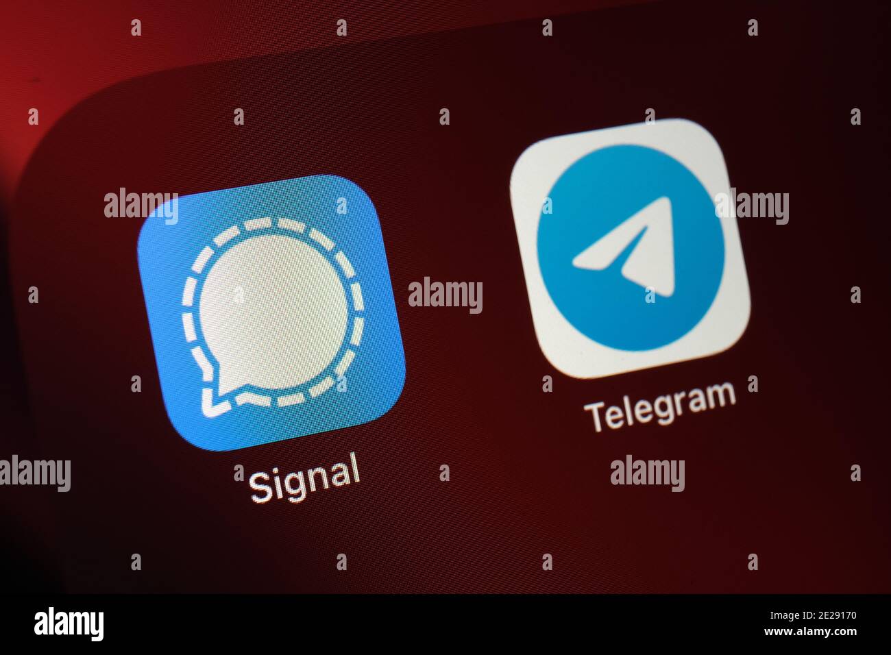 Stafford, Großbritannien - Januar 12 2021: Signal und Telegram Apps und verschwommener Finger über ihnen. Die Apps gainging Popularität in den Vereinigten Staaten aufgrund secur Stockfoto