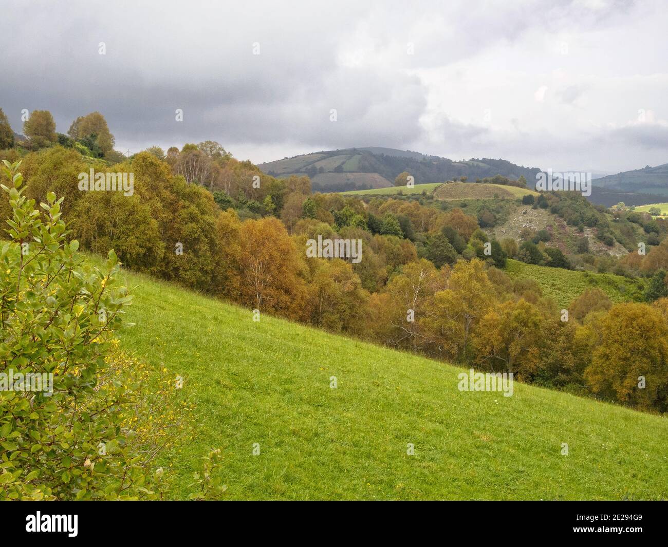 Saftige grüne Wiesen und bunte Bäume sind die typischen Merkmale der Landschaft Galiciens im Herbst - Hospital de la Condesa, Galicien, Spanien Stockfoto