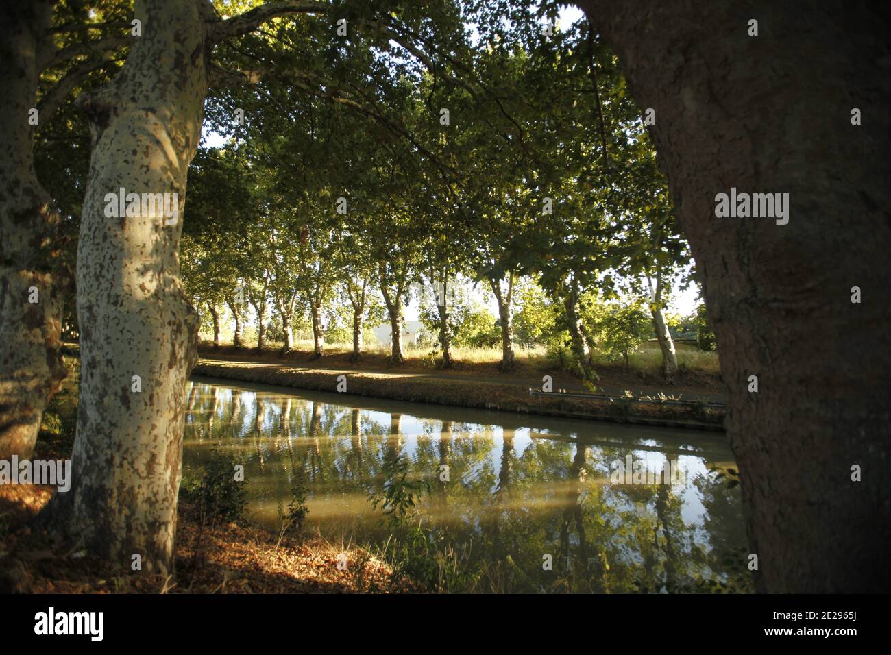 Canal du midi bateau Fotos und Bildmaterial in hoher Auflösung Alamy — free download
