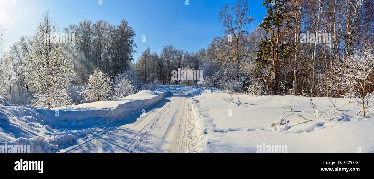 Verschneite Straße durch den gefrorenen Birkenwald mit Schneeverwehungen und Flauschige Reif bedeckte Bäume an hellen sonnigen Tag mit Blau Klarer Himmel - wunderschöne Sonnen Stockfoto