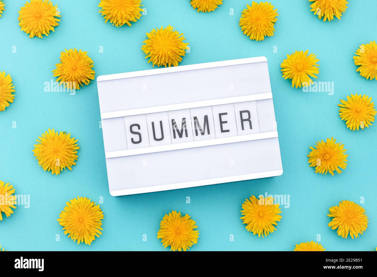 Text Sommer auf Leuchtkasten und gelbe Löwenzahn auf blauem Hintergrund. Konzept hallo Sommer. Draufsicht Flat Lay . Stockfoto