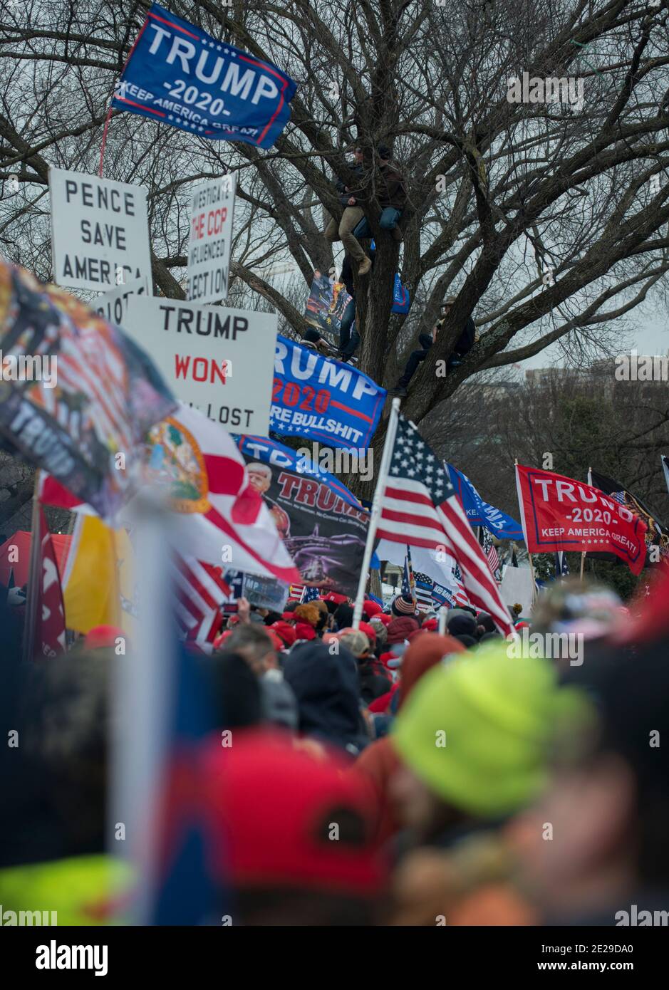 Save America Rally, wenige Minuten vor Beginn des Capitol-Protests. Washington DC USA Stockfoto