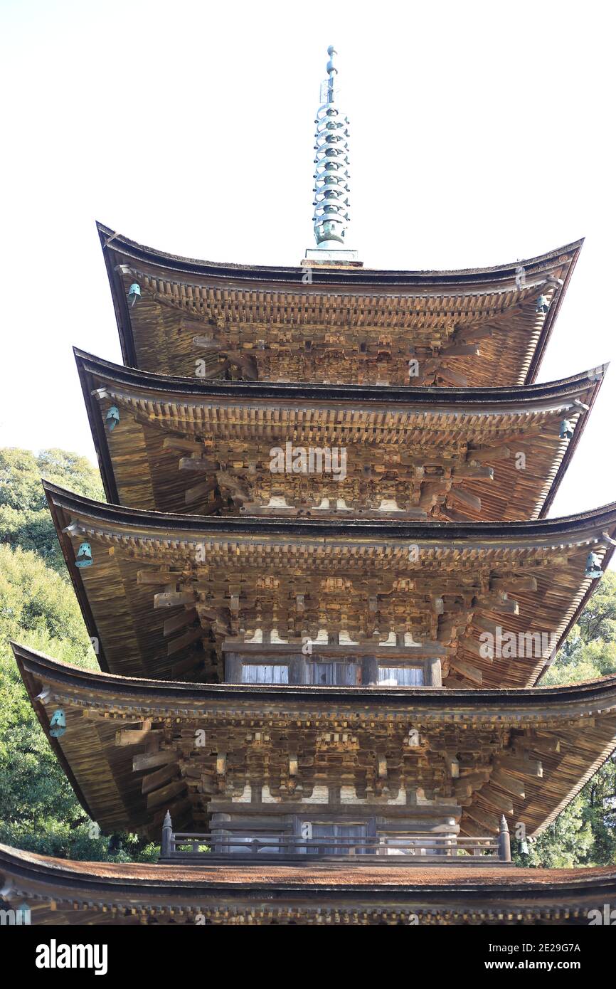 Ruri koji -Fotos und -Bildmaterial in hoher Auflösung – Alamy