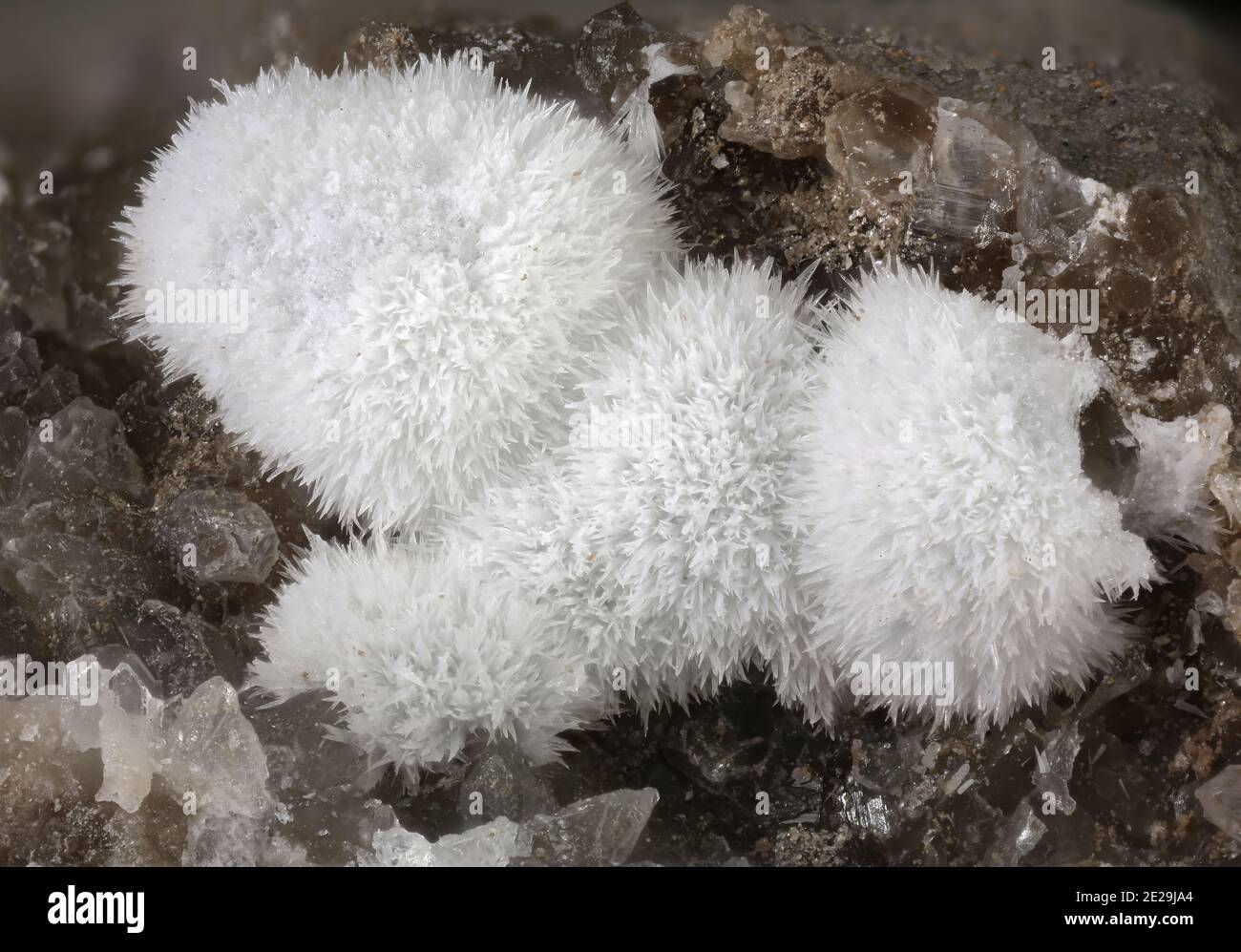 Strontianit - Beauvoisin, Nyons, Drôme, Auvergne-Rhône-Alpes, Frankreich - 5.73 mm große Gruppe von Strontianit-Kugeln. Stockfoto