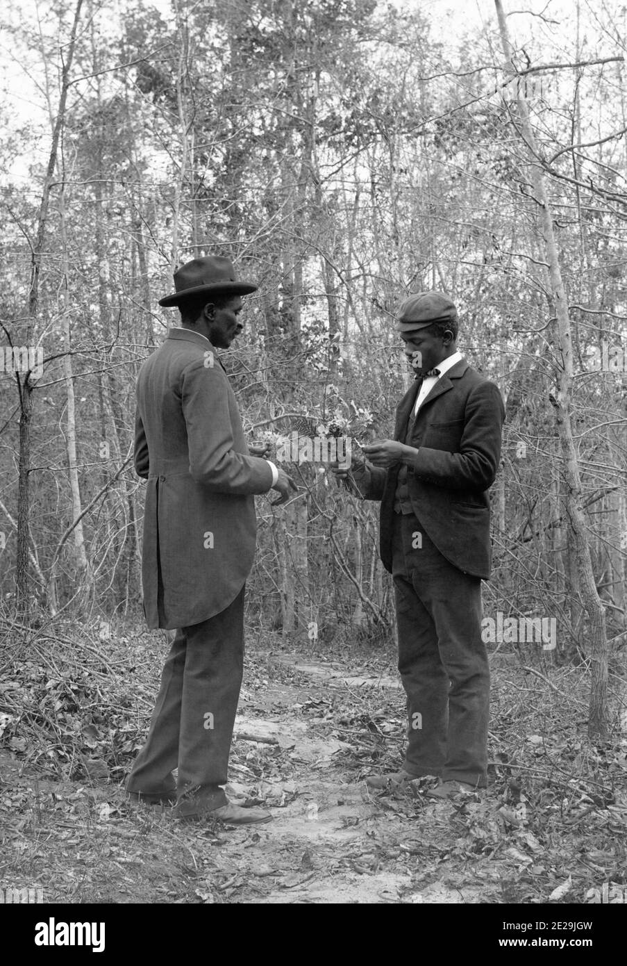 George Washington Carver (C1864 - 1943) Und Student, C1900. Carver, Der  Prominenteste Schwarze Wissenschaftler Des Frühen 20. Jahrhunderts, War  Professor Am Tuskegee Institute (Heute Tuskegee University Stockfotografie  - Alamy