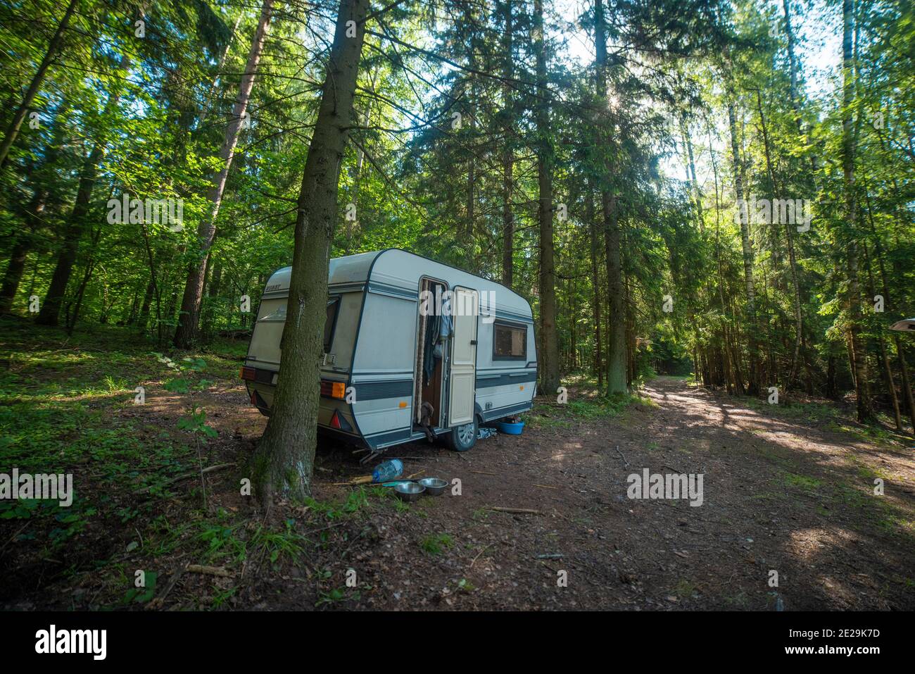 Camper im Wald am See. Wochenendausflug Stockfoto