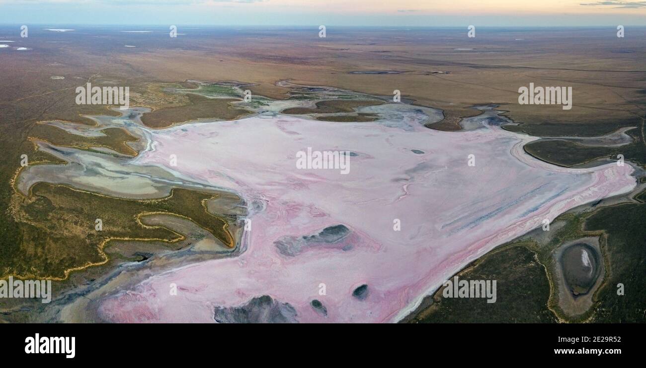 Draufsicht auf eine Salzlandschaft. Trockener Salzsee in der Steppe. Stockfoto