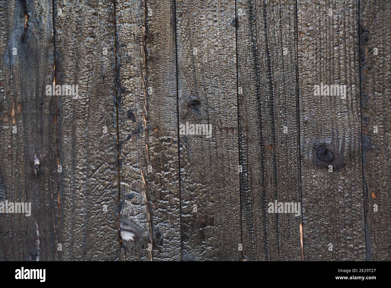 Hochauflösendes Bild von Holzkohle verbrannten Wand. Verbranntes Holz Textur Hintergrund. Shou sugi Ban Holzveredelung Stockfoto