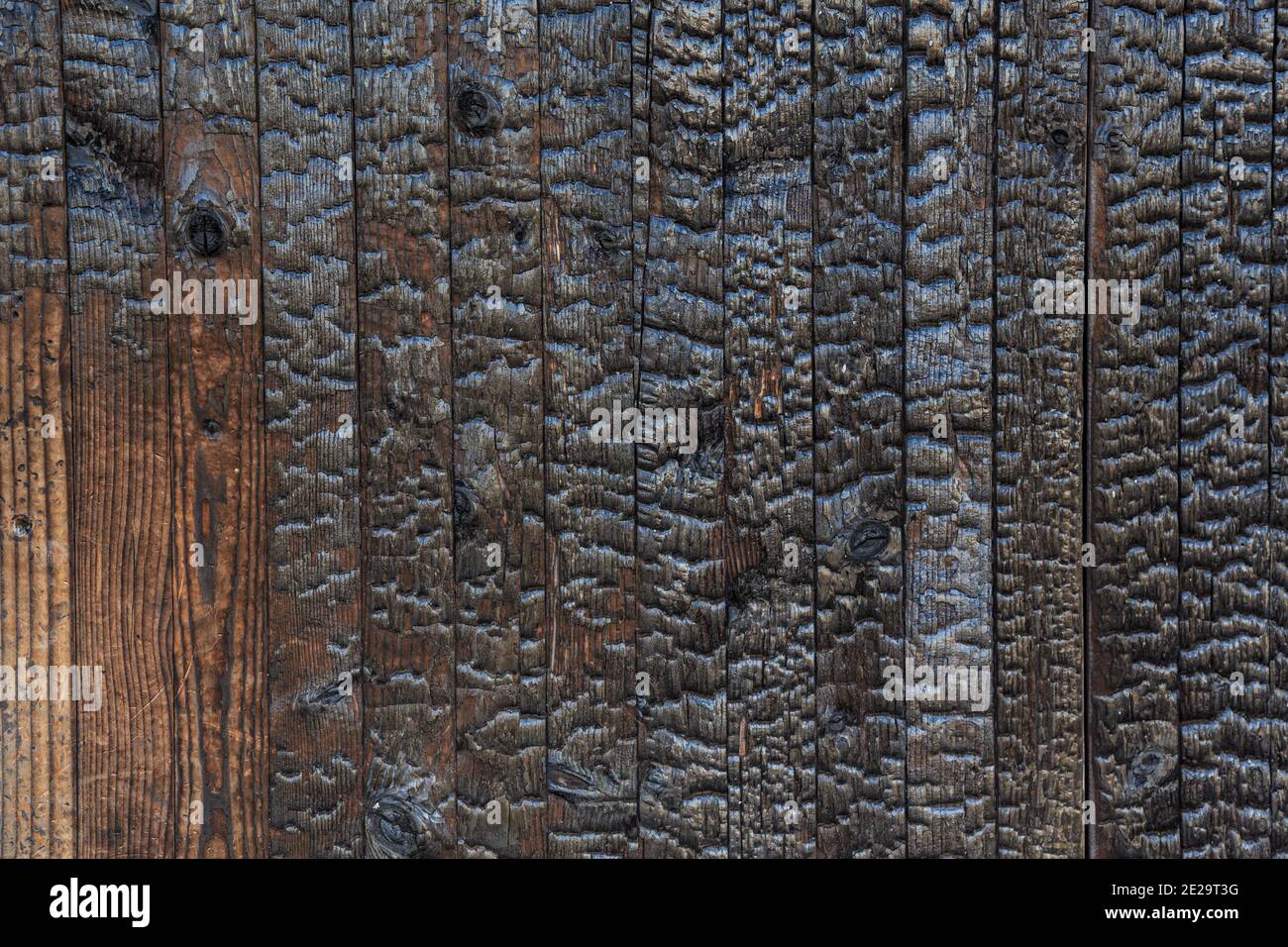 Hochauflösendes Bild von Holzkohle verbrannten Wand. Verbranntes Holz Textur Hintergrund. Shou sugi Ban Holzveredelung Stockfoto