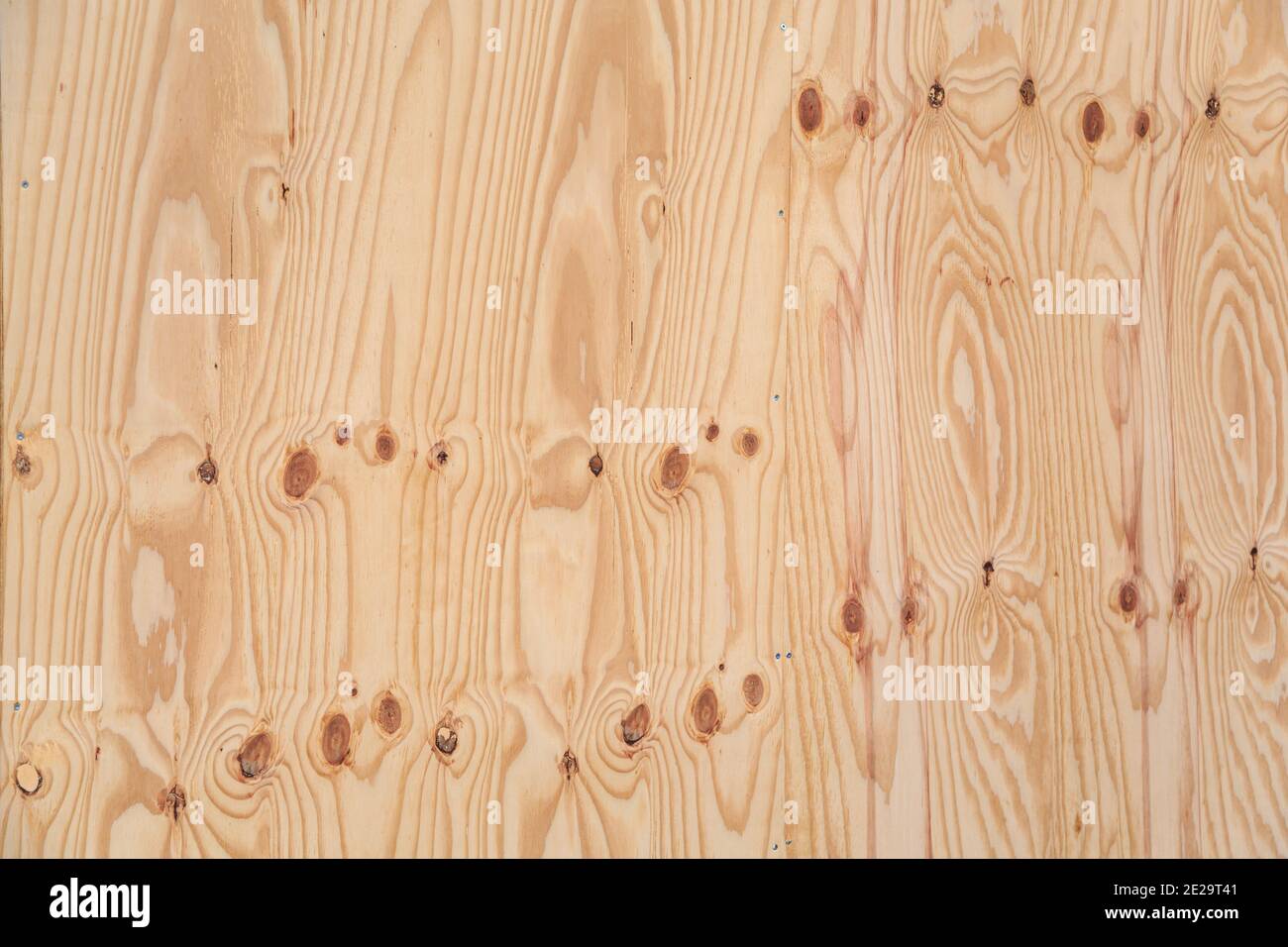 Birkenholz Hintergrund. Hochauflösendes Bild von Birke Sperrholz Textur mit Knoten. Stockfoto